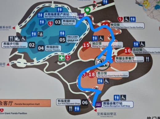 Pandas en recinto interior