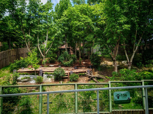 Otra vista del parque