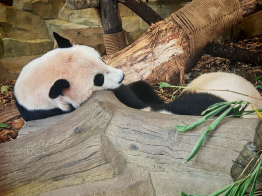 Zona de restaurantes