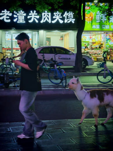 Calle peatonal Loumashi