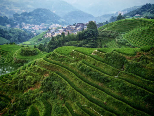 Terrazas de arroz de Longji