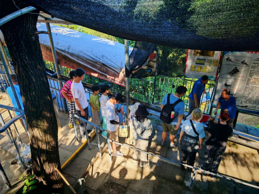 Diversión en el tobogán