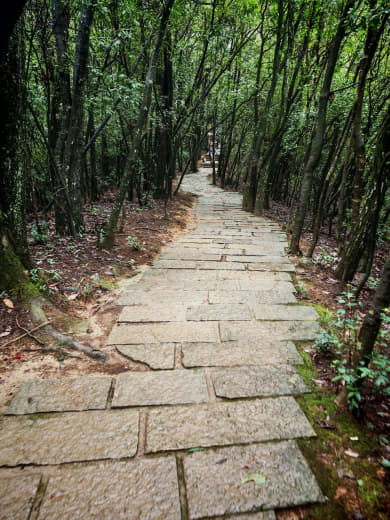 Vista desde el sendero