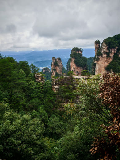 Naturaleza en Zhangjiajie